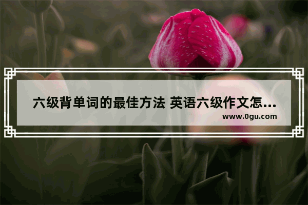 六级背单词的最佳方法 英语六级作文怎么记单词