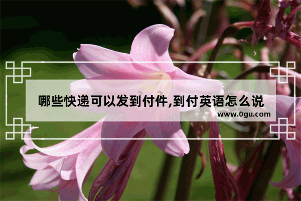 哪些快递可以发到付件,到付英语怎么说