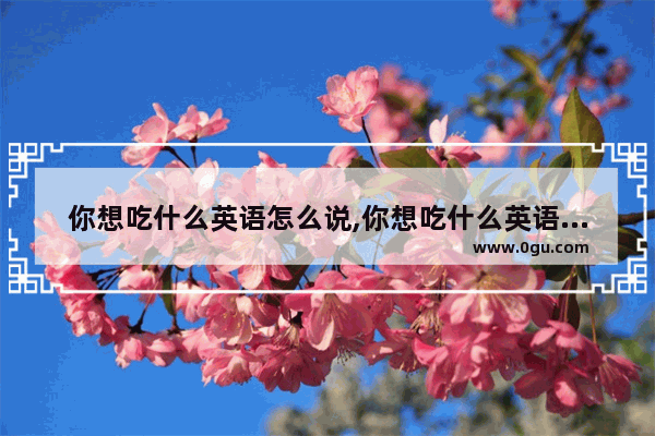 你想吃什么英语怎么说,你想吃什么英语怎么说