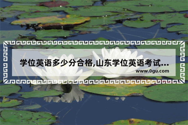 学位英语多少分合格,山东学位英语考试多少钱