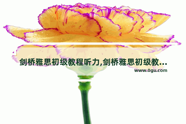 剑桥雅思初级教程听力,剑桥雅思初级教程听力