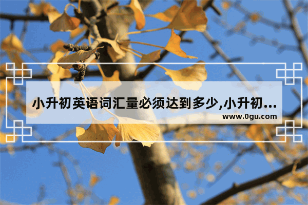 小升初英语词汇量必须达到多少,小升初英语考试要求词汇量