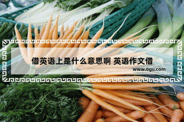借英语上是什么意思啊 英语作文借