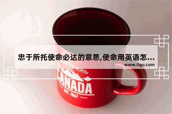 忠于所托使命必达的意思,使命用英语怎么说