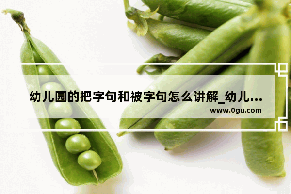 幼儿园的把字句和被字句怎么讲解_幼儿园语言活动评课专业术语