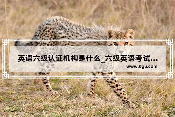 英语六级认证机构是什么_六级英语考试时间各个学校一样吗