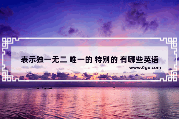 表示独一无二 唯一的 特别的 有哪些英语单词 独特英语