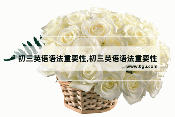 初三英语语法重要性,初三英语语法重要性