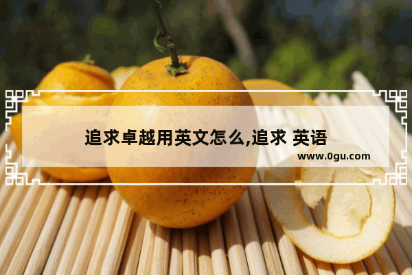 追求卓越用英文怎么,追求 英语