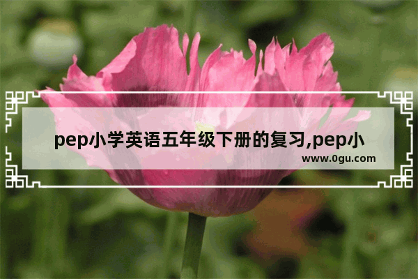 pep小学英语五年级下册的复习,pep小学英语五年级下册的复习