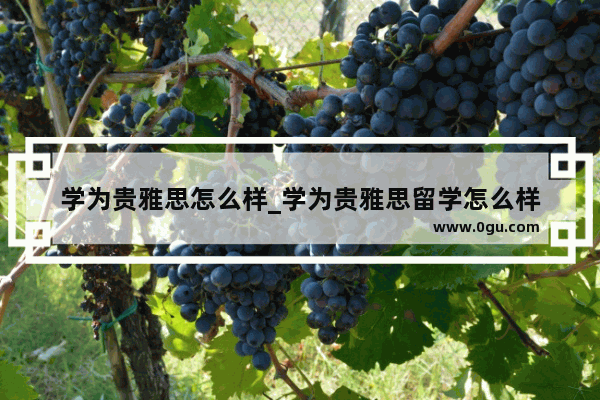 学为贵雅思怎么样_学为贵雅思留学怎么样