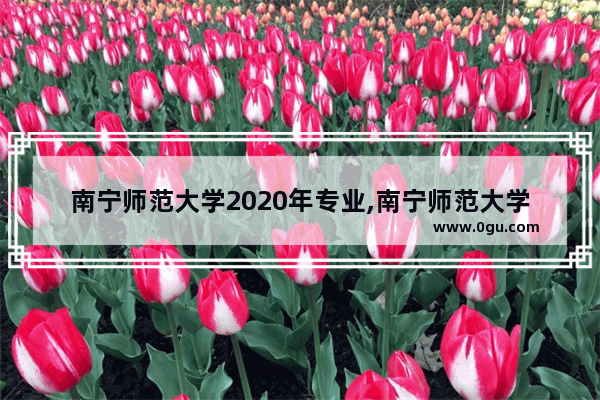 南宁师范大学2020年专业,南宁师范大学英语考试科目