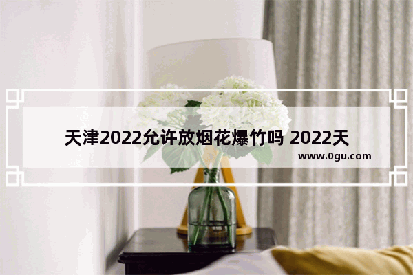 天津2022允许放烟花爆竹吗 2022天津英语++++