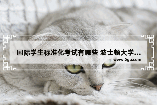国际学生标准化考试有哪些 波士顿大学英语语法要求