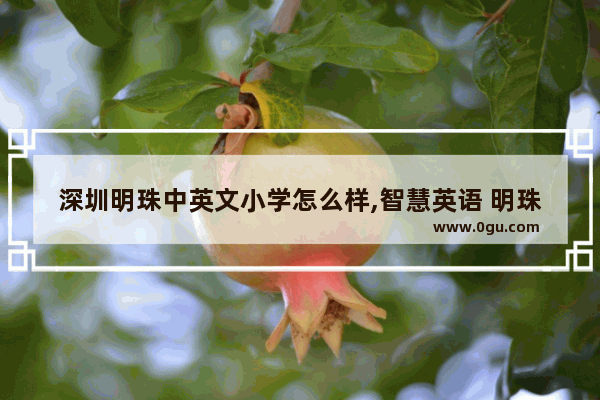 深圳明珠中英文小学怎么样,智慧英语 明珠小学