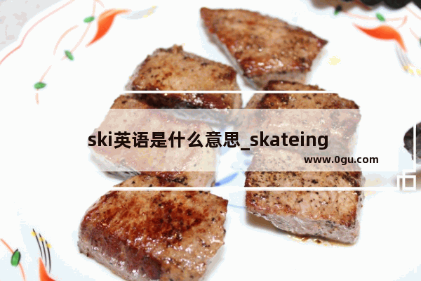ski英语是什么意思_skateing rink和rink有什么区别