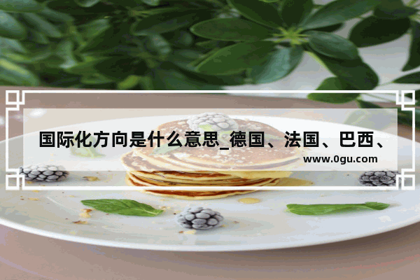 国际化方向是什么意思_德国、法国、巴西、澳大利亚、的英文名称