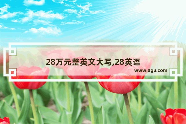 28万元整英文大写,28英语
