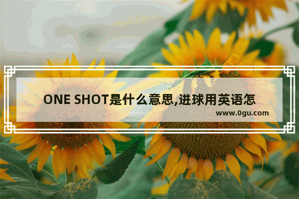 ONE SHOT是什么意思,进球用英语怎么说