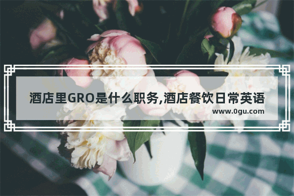 酒店里GRO是什么职务,酒店餐饮日常英语口语