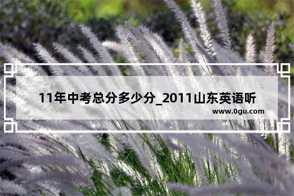 11年中考总分多少分_2011山东英语听力成绩