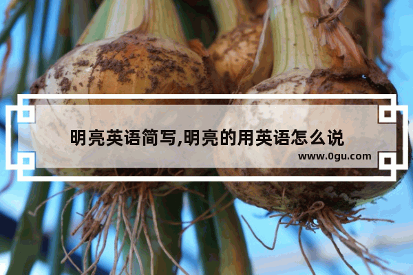 明亮英语简写,明亮的用英语怎么说