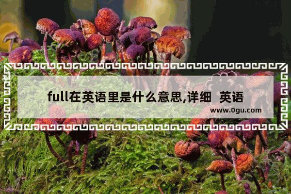 full在英语里是什么意思,详细  英语