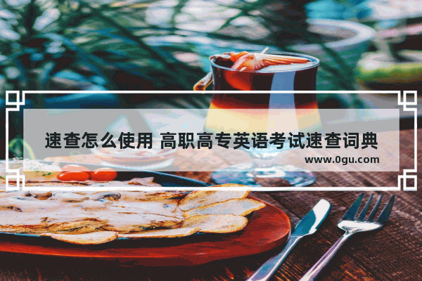 速查怎么使用 高职高专英语考试速查词典
