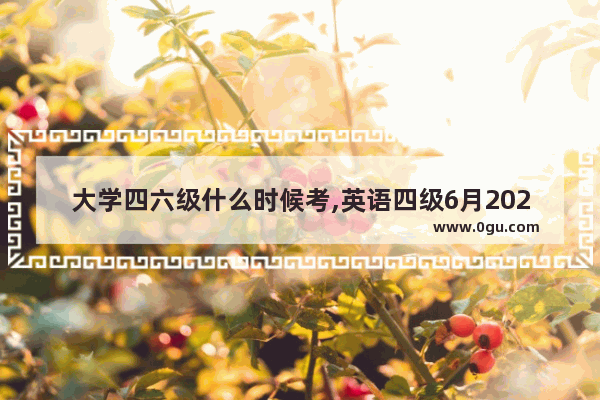 大学四六级什么时候考,英语四级6月2020