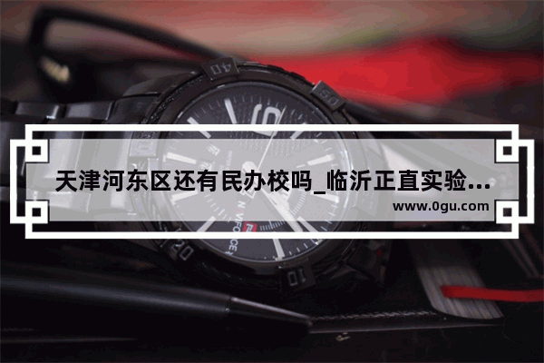 天津河东区还有民办校吗_临沂正直实验学校高中部学费