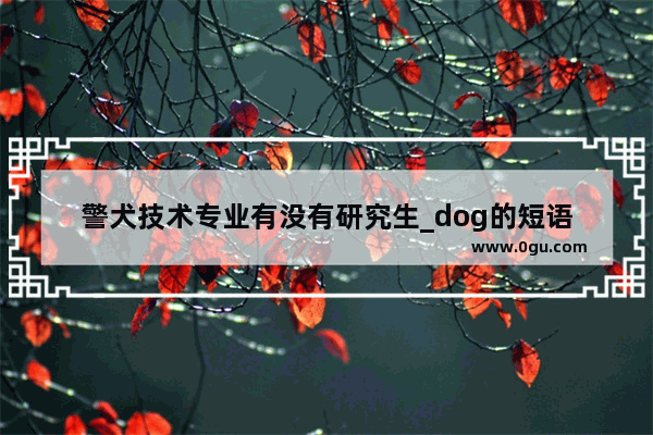 警犬技术专业有没有研究生_dog的短语
