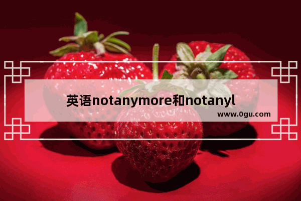 英语notanymore和notanylonger的分别 再也不英语怎么说
