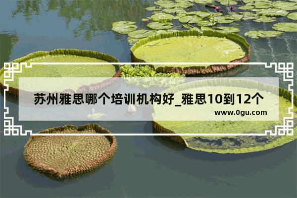 苏州雅思哪个培训机构好_雅思10到12个30节课多少钱