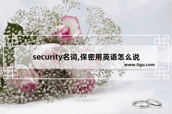 security名词,保密用英语怎么说