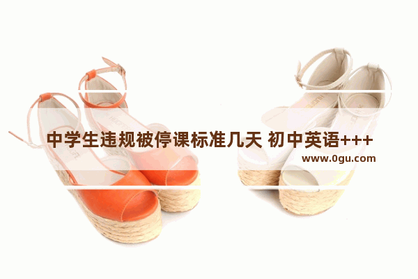 中学生违规被停课标准几天 初中英语++++河南邯郸