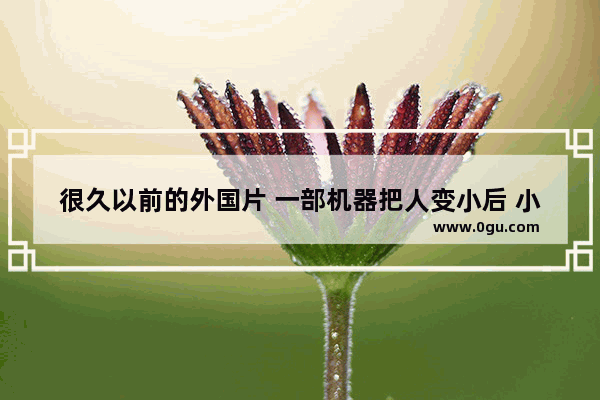 很久以前的外国片 一部机器把人变小后 小人的历险记 nick走失的英语听力