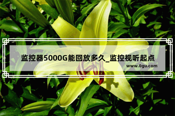 监控器5000G能回放多久_监控视听起点时间与结尾时间和回放时间一至不