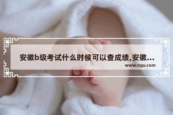 安徽b级考试什么时候可以查成绩,安徽三级英语考试要多久