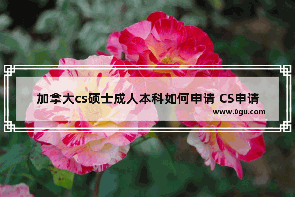 加拿大cs硕士成人本科如何申请 CS申请托福