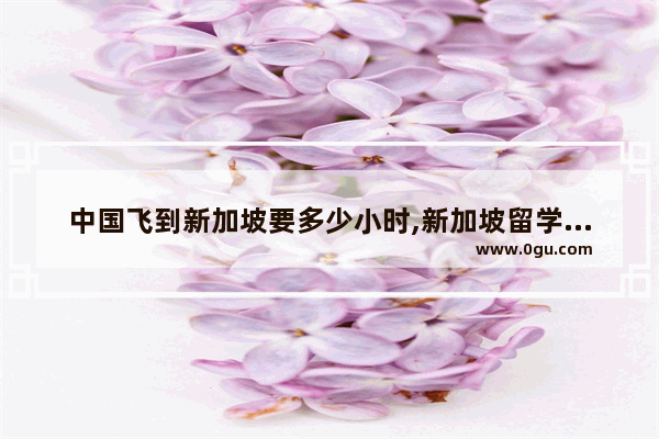 中国飞到新加坡要多少小时,新加坡留学生英语考试时间