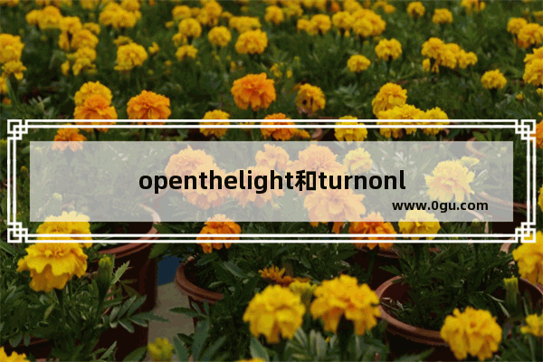 openthelight和turnonlight的区别,吊灯英语怎么说