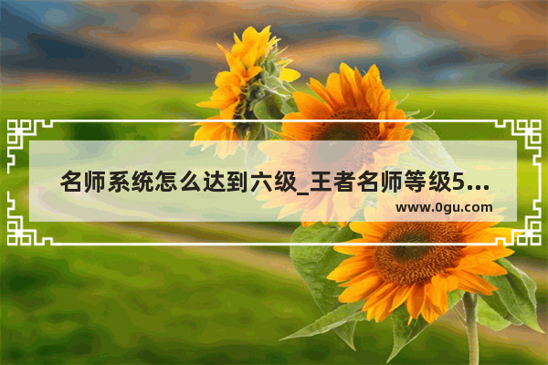 名师系统怎么达到六级_王者名师等级5级如何到六级