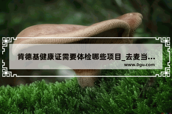 肯德基健康证需要体检哪些项目_去麦当劳面试需要注意什么