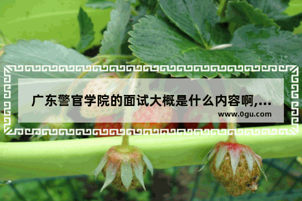 广东警官学院的面试大概是什么内容啊,考警校考英语口语
