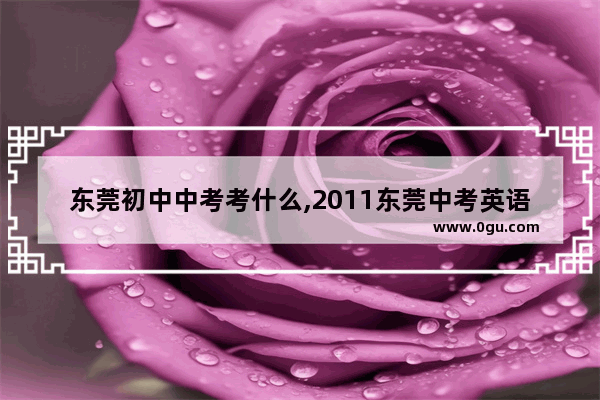 东莞初中中考考什么,2011东莞中考英语听力