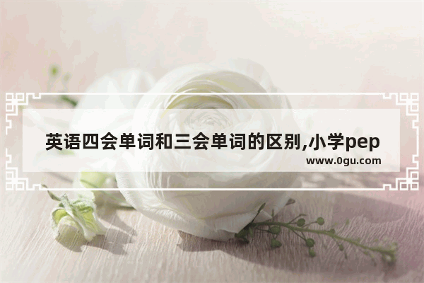 英语四会单词和三会单词的区别,小学pep英语四会单词