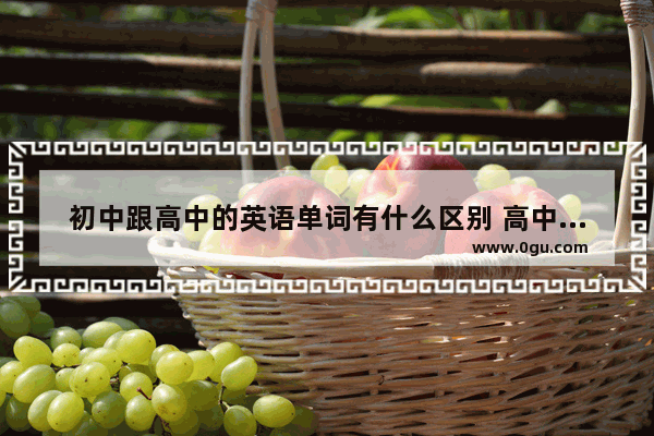 初中跟高中的英语单词有什么区别 高中英语语法名词讲解