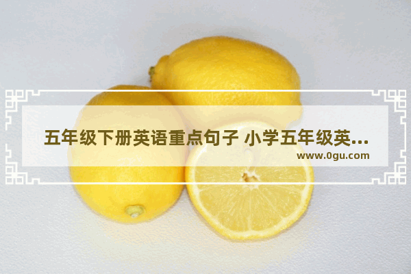 五年级下册英语重点句子 小学五年级英语重点句型