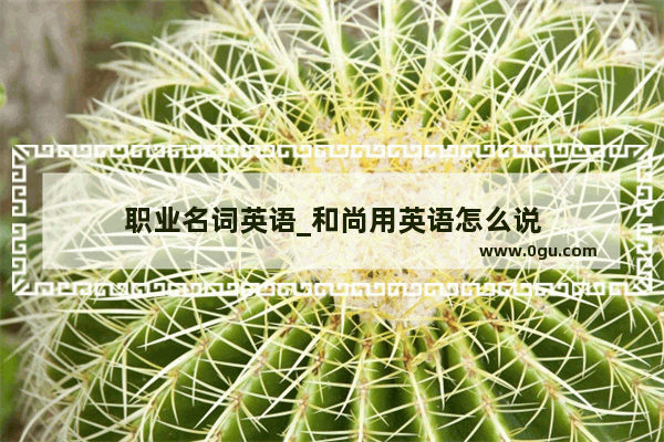 职业名词英语_和尚用英语怎么说