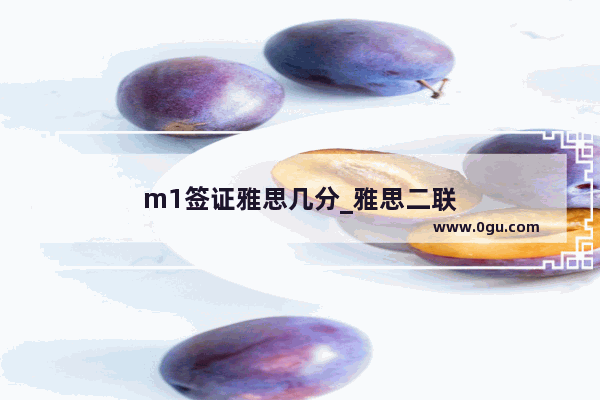 m1签证雅思几分_雅思二联